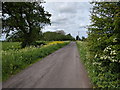 Lane near Old Rhyne Farm