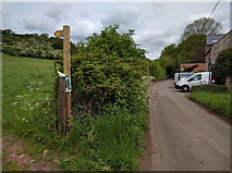 ST5044 : Public footpath leading from Castle Lane by Rob Purvis