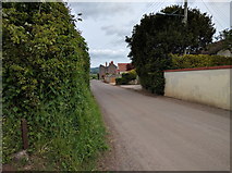 ST5244 : Burcott Lane, in Coxley Wick, looking north by Rob Purvis