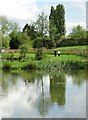 Looking across a pond at Yewtree Farm, Westwood