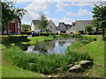 Pond at The Lakes