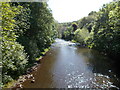 River Colne - viewed from Footbridge off Colne Road