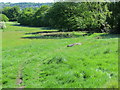 Footpath - Millennium Way - descending to Shipley Golf Course