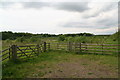 Field entrance, with access, on the edge of Glad Wood