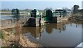 Gold Corner Sluice, Cripps River