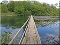 Causeway over Bosherston Lily Pond