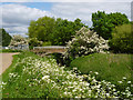 Bridge on Small River Lea or Lee