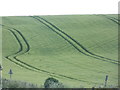 SY7784 : Owermogne: tractor tracks in a green field by Chris Downer