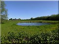 Pond in field alongside Stainforth Moor Road