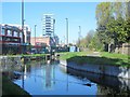 The New River north of Southbury Road, EN1 (2)