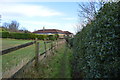 Footpath, edge of North Rigton