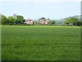 Houses in Nether Exe, seen from Green Lane