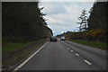 Highland : The A96