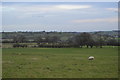 Farming in Wharfedale