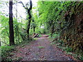 Llwybr Gilfach / Gilfach path