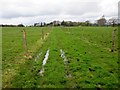 Boggy Bridleway, Selham Common