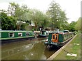 A collection of green narrowboats