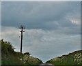 Lane Between Capeston And Rosepool