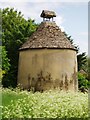 Dovecote, Marcham