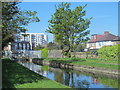 The New River north of Southbury Road, EN1 (4)