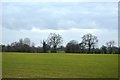 Cheshire farmland