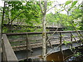 Rural Perthshire : Bridges Over The Braan