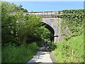 SS5233 : Bridge over Tarka Trail near Fremington by David Smith