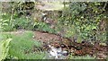 Footpath Steps into Stream