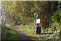 Path to Lenzie Moss