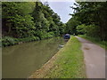 Cyclist in the distance on the path next to the canal