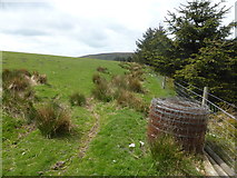 SO2163 : Bridle path alongside the forest by David Medcalf
