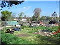 Enfield Playing Fields CA Allotments