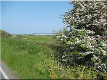 TQ9069 : The Sheppey Crossing from Old Ferry Road by Marathon