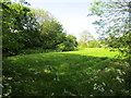 Moat at Old Clee