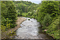 Pendle Water