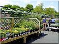 Garden centre shrub area near Codsall, Staffordshire