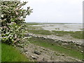 TQ8167 : Salt marsh seen from the Saxon Shore Way by Marathon