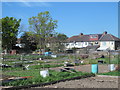 Enfield Playing Fields CA Allotments (2)