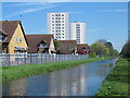 The New River north of Carterhatch Lane (2)