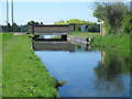 The New River north of Carterhatch Lane (3)