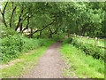 Footpath towards Dunstall Green