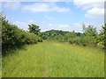 Towards Stoopers Wood