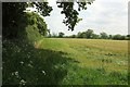 Field near Lymburghs Farm