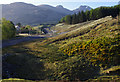 Crianlarich bypass