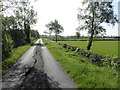 Cracks opening up along Lisnarable Road