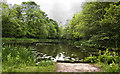 A fishing pond