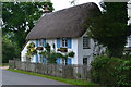 Thatched cottage by the green at Woodgreen