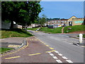 Rare example of a monolingual BUS STOP on a Cwmbran corner