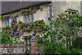 Wisteria on the Manor House at Martin