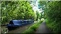 Chop Suey on Macclesfield Canal